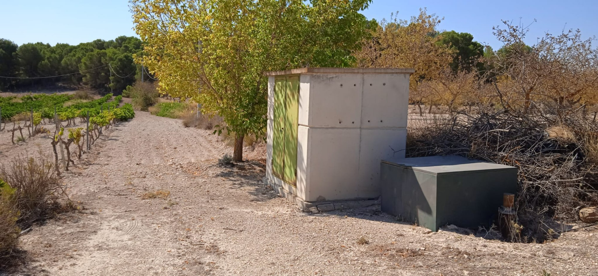 An opportunity to pick up a great value plot set just outside the village of Ubeda, Pinoso