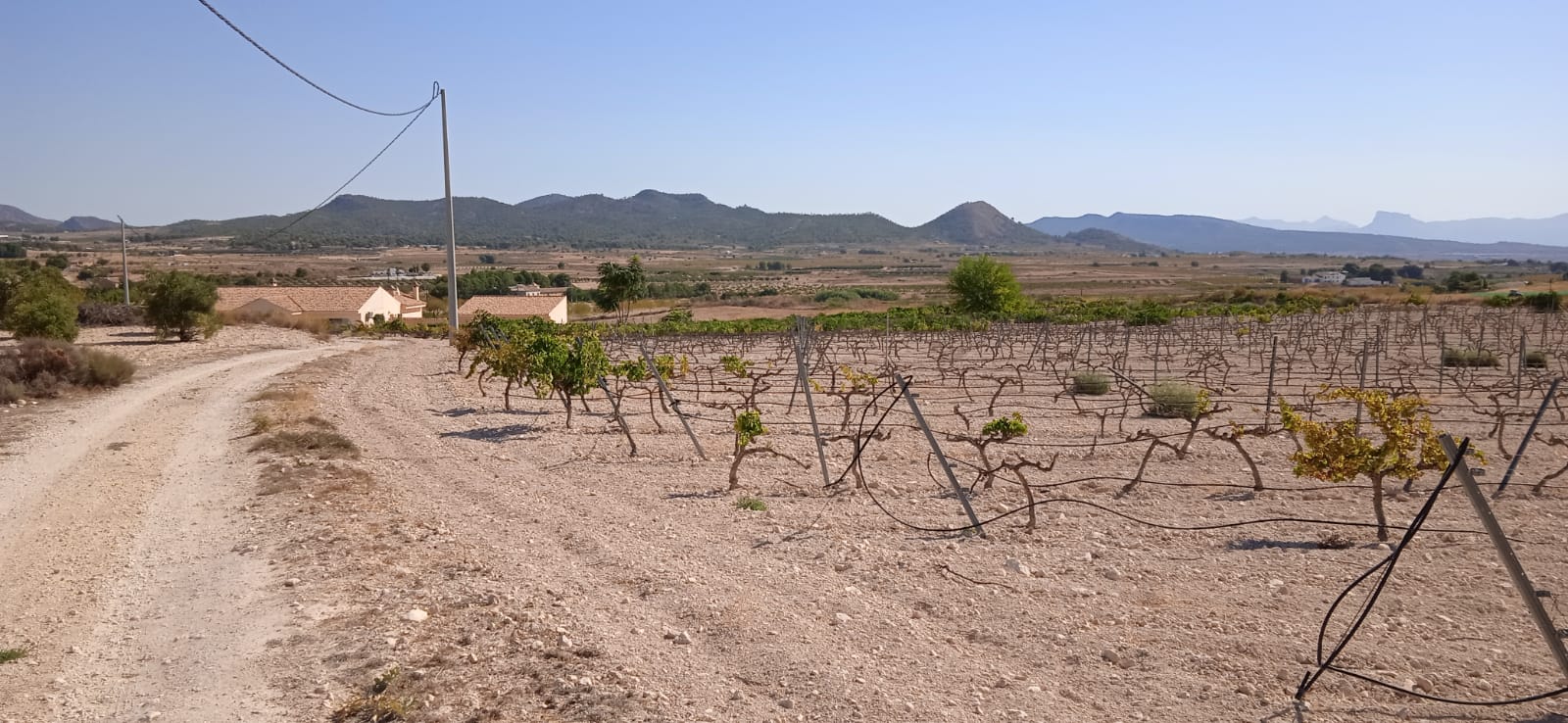 An opportunity to pick up a great value plot set just outside the village of Ubeda, Pinoso