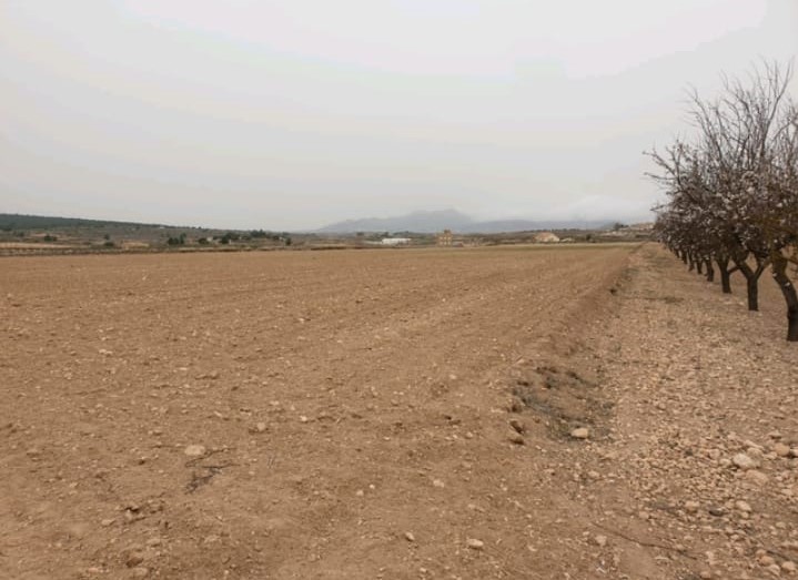 An opportunity to pick up a great value plot set just outside the village of Ubeda, Pinoso - Image 1